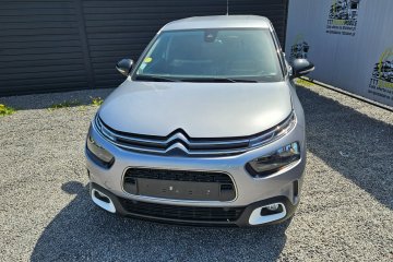 C4 Cactus