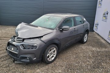 C4 Cactus
